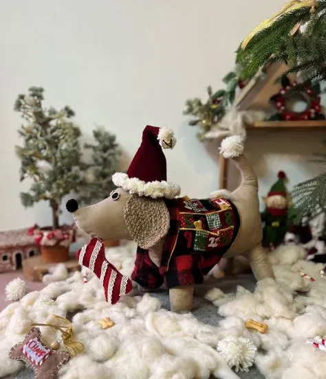 Christmas Advent Calendar | Limited Edition for Dogs | 12 days of Christmas