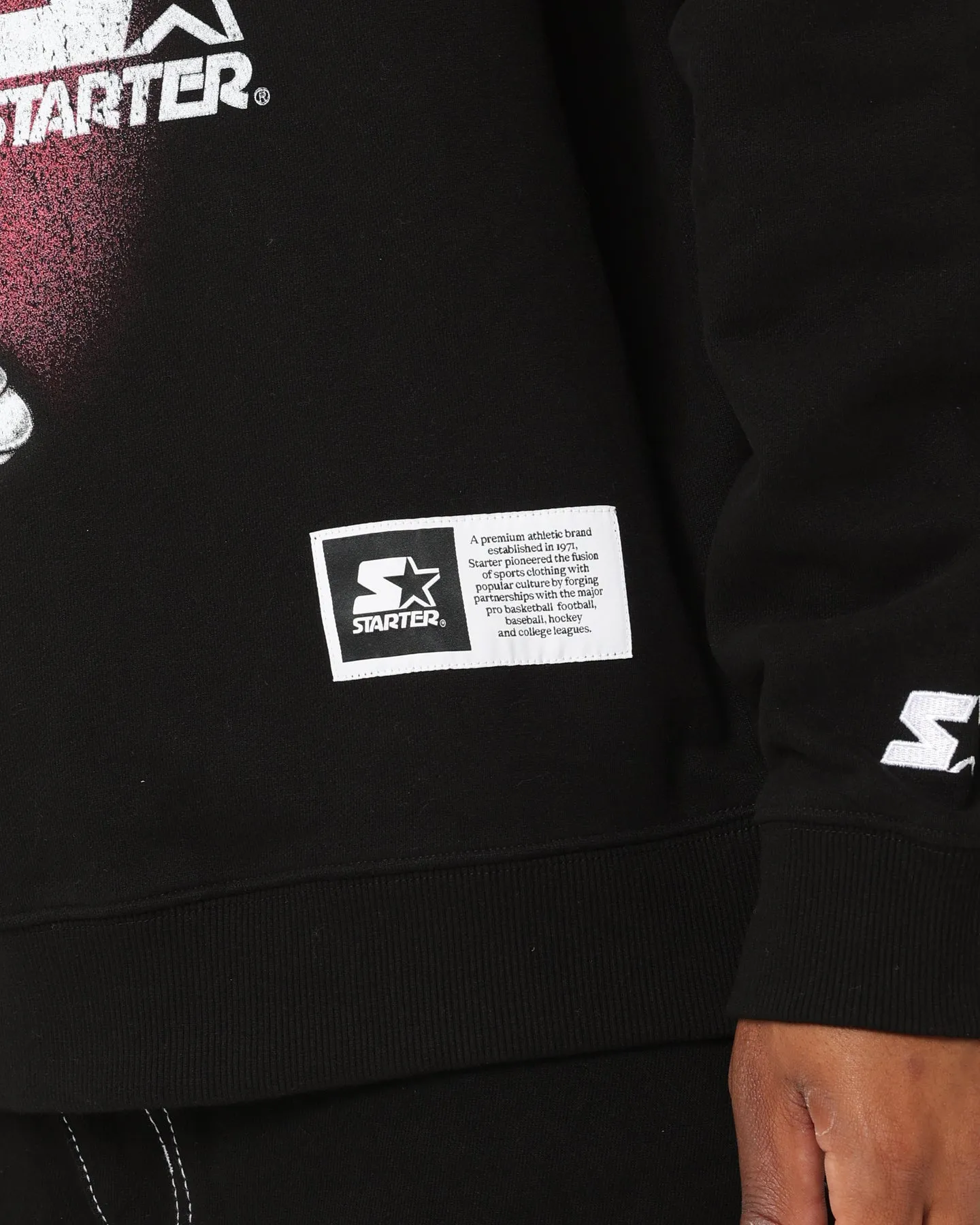 Starter X Space Jam Lola Vintage Crewneck Black